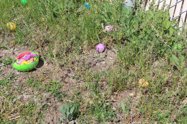 Enlarge picture